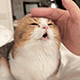 https://upforme.ru/uploads/001c/55/b9/2/229648.gif
