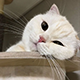 https://upforme.ru/uploads/001c/55/b9/2/23866.png
