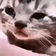 https://upforme.ru/uploads/001c/55/b9/2/247323.gif