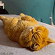 https://upforme.ru/uploads/001c/55/b9/2/251165.gif