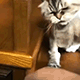 https://upforme.ru/uploads/001c/55/b9/2/251798.gif