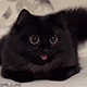 https://upforme.ru/uploads/001c/55/b9/2/256401.gif