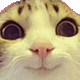 https://upforme.ru/uploads/001c/55/b9/2/282661.gif