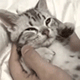 https://upforme.ru/uploads/001c/55/b9/2/302506.gif