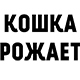 https://upforme.ru/uploads/001c/55/b9/2/311576.png