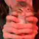 https://upforme.ru/uploads/001c/55/b9/2/318629.gif