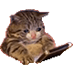 https://upforme.ru/uploads/001c/55/b9/2/319192.gif