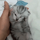 https://upforme.ru/uploads/001c/55/b9/2/321500.gif