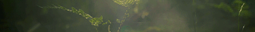 https://upforme.ru/uploads/001c/55/b9/2/329054.gif