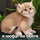 https://upforme.ru/uploads/001c/55/b9/2/331563.gif