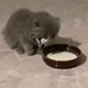 https://upforme.ru/uploads/001c/55/b9/2/340906.gif