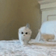 https://upforme.ru/uploads/001c/55/b9/2/375508.gif