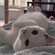 https://upforme.ru/uploads/001c/55/b9/2/394490.gif