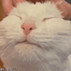 https://upforme.ru/uploads/001c/55/b9/2/396940.gif