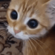 https://upforme.ru/uploads/001c/55/b9/2/410705.gif