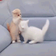 https://upforme.ru/uploads/001c/55/b9/2/417355.gif