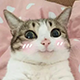 https://upforme.ru/uploads/001c/55/b9/2/419542.png