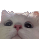 https://upforme.ru/uploads/001c/55/b9/2/423298.gif