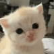 https://upforme.ru/uploads/001c/55/b9/2/429354.gif
