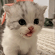 https://upforme.ru/uploads/001c/55/b9/2/436760.gif