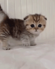 https://upforme.ru/uploads/001c/55/b9/2/440770.gif