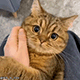 https://upforme.ru/uploads/001c/55/b9/2/444622.gif