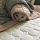 https://upforme.ru/uploads/001c/55/b9/2/479846.png