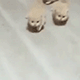 https://upforme.ru/uploads/001c/55/b9/2/484470.gif