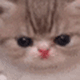 https://upforme.ru/uploads/001c/55/b9/2/507761.gif