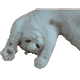 https://upforme.ru/uploads/001c/55/b9/2/513715.gif