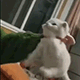 https://upforme.ru/uploads/001c/55/b9/2/528901.gif