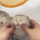 https://upforme.ru/uploads/001c/55/b9/2/532914.gif