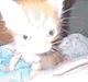https://upforme.ru/uploads/001c/55/b9/2/580691.gif