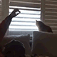 https://upforme.ru/uploads/001c/55/b9/2/592661.gif
