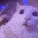 https://upforme.ru/uploads/001c/55/b9/2/626982.gif