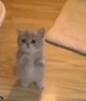 https://upforme.ru/uploads/001c/55/b9/2/635326.gif