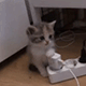 https://upforme.ru/uploads/001c/55/b9/2/644241.gif