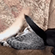 https://upforme.ru/uploads/001c/55/b9/2/654231.gif