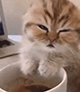 https://upforme.ru/uploads/001c/55/b9/2/669352.gif