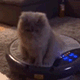 https://upforme.ru/uploads/001c/55/b9/2/683407.gif