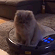 https://upforme.ru/uploads/001c/55/b9/2/689390.gif