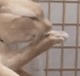 https://upforme.ru/uploads/001c/55/b9/2/699904.gif