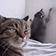 https://upforme.ru/uploads/001c/55/b9/2/729882.gif