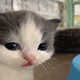 https://upforme.ru/uploads/001c/55/b9/2/735163.gif