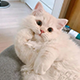 https://upforme.ru/uploads/001c/55/b9/2/758067.png