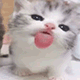 https://upforme.ru/uploads/001c/55/b9/2/760125.gif