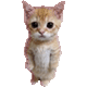 https://upforme.ru/uploads/001c/55/b9/2/76192.gif