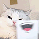 https://upforme.ru/uploads/001c/55/b9/2/777585.gif