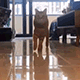 https://upforme.ru/uploads/001c/55/b9/2/784153.gif