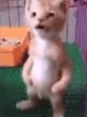 https://upforme.ru/uploads/001c/55/b9/2/789245.gif